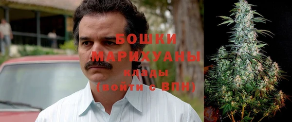 гашик Няндома