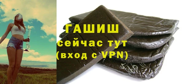 гашик Няндома
