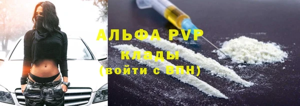 индика Нязепетровск