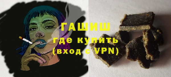 гашик Няндома