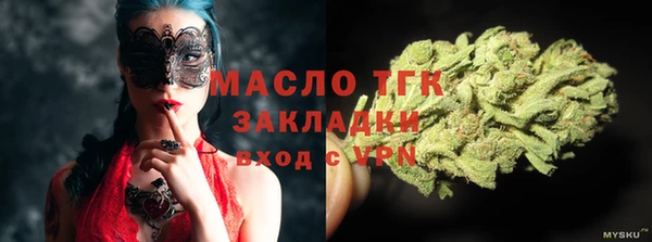 гашик Няндома