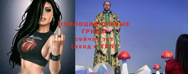 скорость Осинники