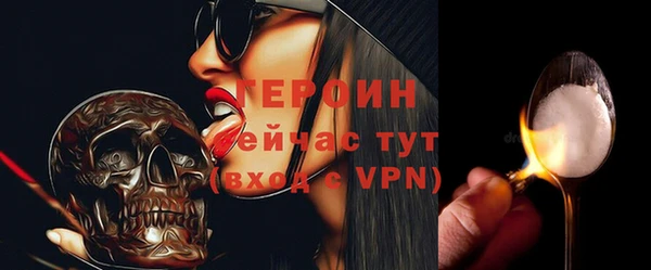 гашик Няндома