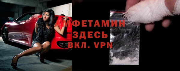индика Нязепетровск