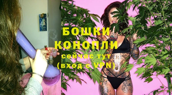 крисы Осташков