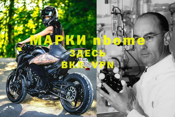 индика Нязепетровск