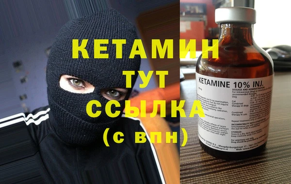 гашик Няндома