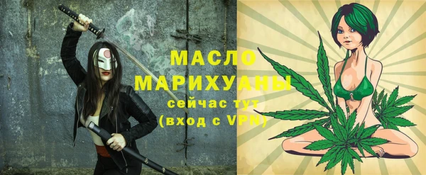 индика Нязепетровск