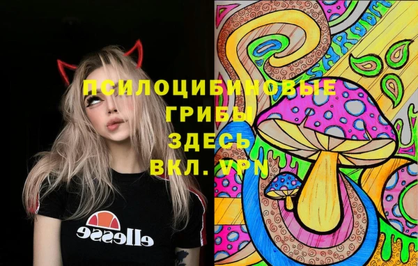 индика Нязепетровск