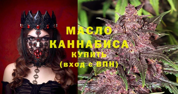 индика Нязепетровск