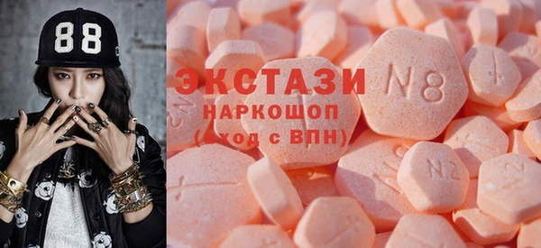 гашик Няндома
