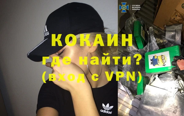 индика Нязепетровск