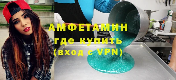 гашик Няндома