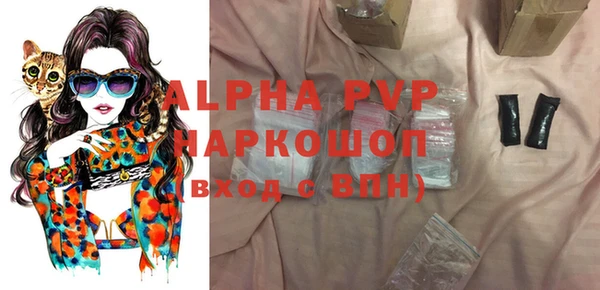 индика Нязепетровск