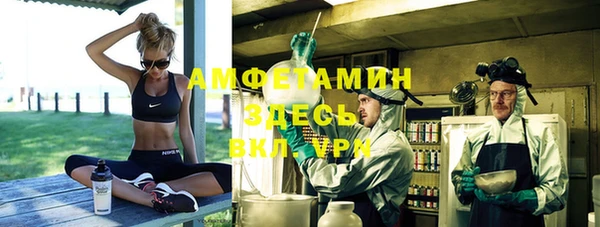 гашик Няндома