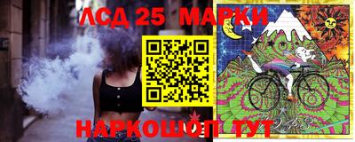 индика Бийск