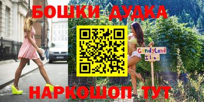 индика Бийск