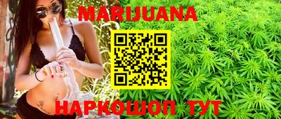 индика Бийск