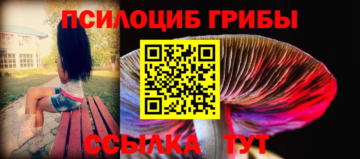 цена наркотик  Туймазы  Псилоцибиновые грибы прущие грибы  Галлюциногенные грибы Cubensis 